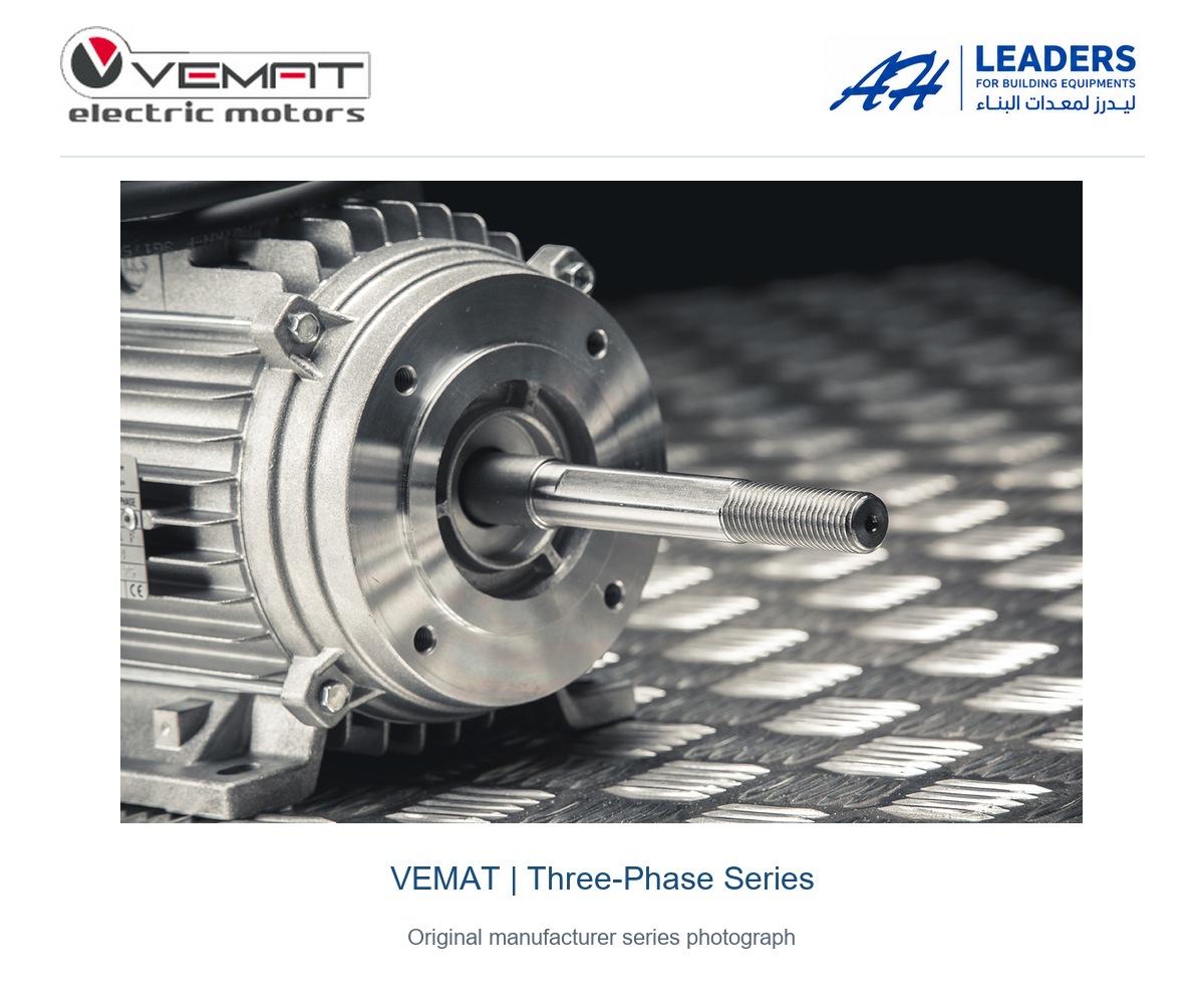 VEMAT 2 HP 380V Electric Motor - Slow - 50 Hz - Image 2